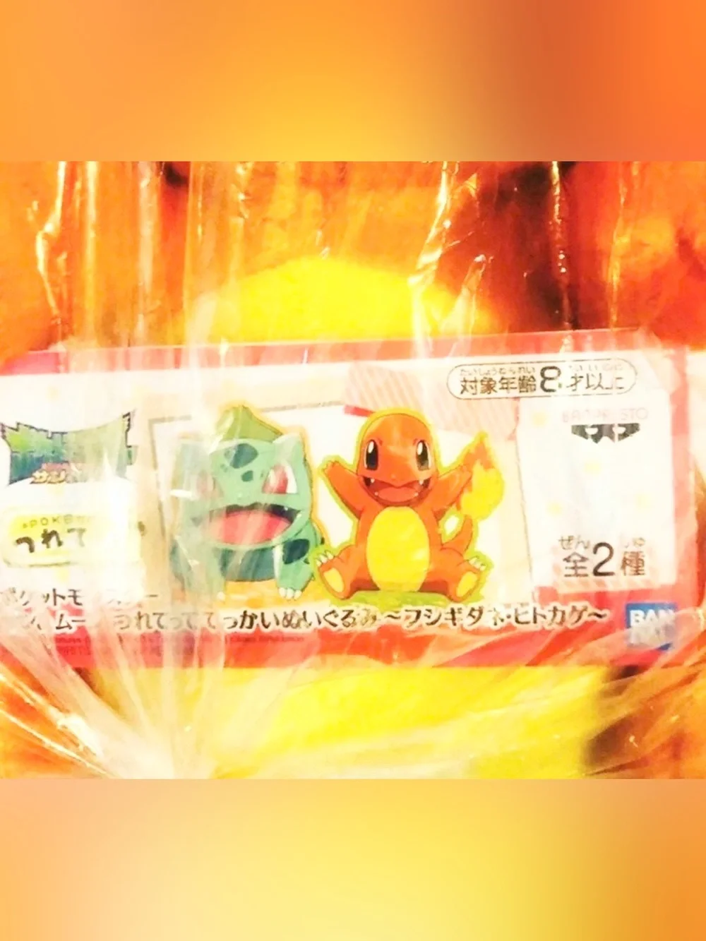 Pokemon Charmander Plush
